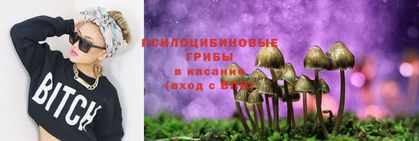 гашик Богородск