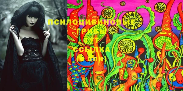 гашик Богородск