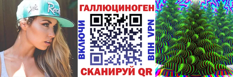 закладки Улан-Удэ Галлюциногенные грибы мухоморы